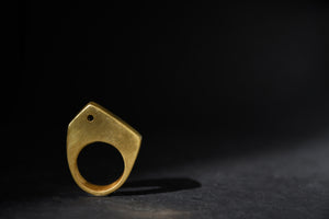 Special House Ring